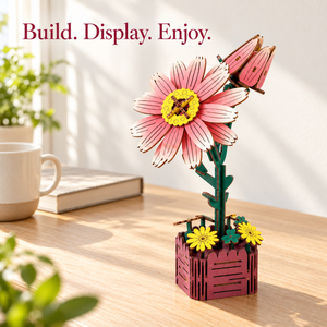 EN-0013-B/07 JM004 Home Display