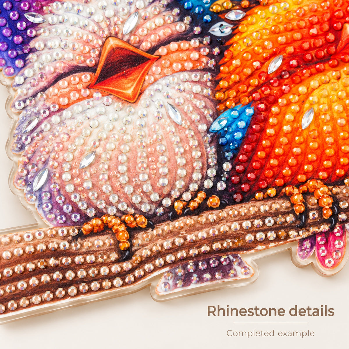 Colorful Birds DIY Diamond Painting Hanging Kit – XLG329