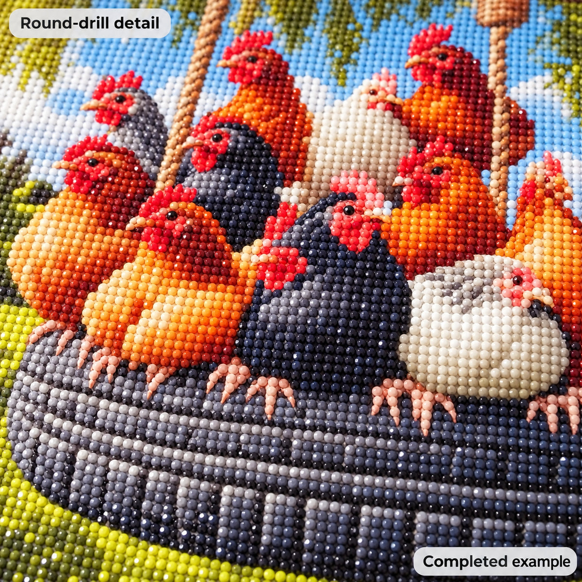 Chickens on a Tire Swing Diamond Painting Kit: illustrative finished detail