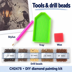 CH2475 kit contents: canvas, drills, stylus, tray and wax
