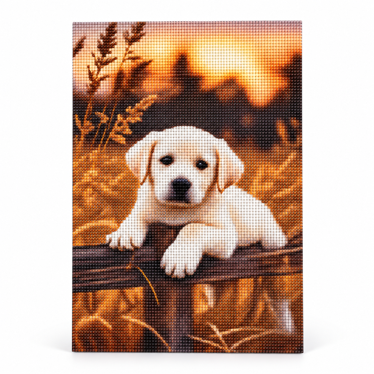 White Puppy diamond painting kit – Hero CH2278