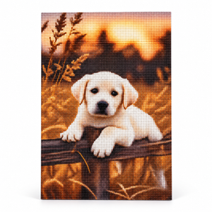 White Puppy diamond painting kit – Hero CH2278