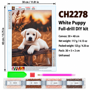 White Puppy diamond painting kit – Size CH2278