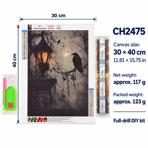 CH2475 canvas size and weight information