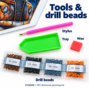 CH2500 kit contents: canvas, drills, stylus, tray and wax